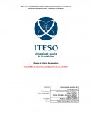 Constitución de un Red y Topología