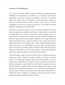 E commerce en las Organizaciones