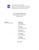 ANÁLISIS METODOLÓGICO DE INFORME DE INVESTIGACIÓN