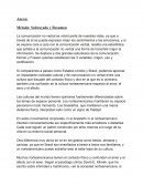 Tesis sobre el funcionamiento de las empresas bajo distintos regimenes tributarios