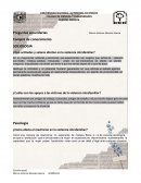 ¿Qué actitudes y valores afectan en la violencia intrafamiliar?