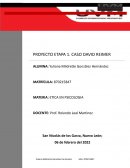 Proyecto etapa 1 Caso David Raimer