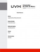 Actividad Descripción de la empresa