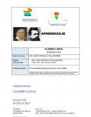 Algebra lineal Modalidad virtual