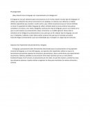 Psicología-taller ¿Que relación tiene el lenguaje con el pensamiento y la inteligencia?