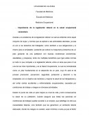 Importancia de la legislación laboral en la salud ocupacional venezolana