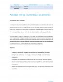 Actividad: Energía y nutrientes de los alimentos