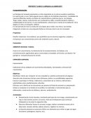 PROYECTO “LLEGO EL CARNAVAL AL JARDIN 907”