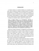 Tesis lactancia materna