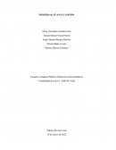 PROPIEDAD, PLANTA Y EQUIPO