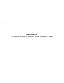 Análisis de Nike, Inc. y su capacidad de adaptación cultural en el mercado ecuatoriano y el mundo