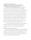 SISTEMA NERVIOSO Y EL AJEDREZ