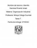 Organización industrial para la estrategia empresarial