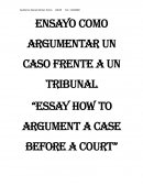 ENSAYO COMO ARGUMENTAR UN CASO FRENTE A UN TRIBUNAL