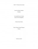 Mini ensayo robots pelea