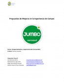 Propuestas de Mejoras en la Experiencia de Compra