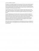 ¿A quien va dirigido el proyecto?