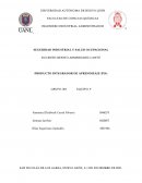 PIA SEGURIDAD INSUTRIAL