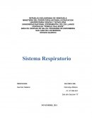 Sistema Respiratorio