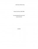 GEOLOGIA ESTRUCTURAL