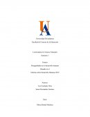 Desigualdades en el desarrollo humano