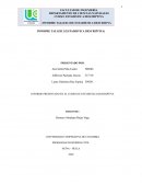 INFORME PRESENTADO EN EL CURSO DE ESTADISTICA DESCRIPTIVA