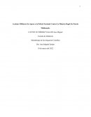 Acciones militares en apoyo a la Policía Nacional contra la minería ilegal en Puerto Maldonado