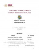 Mejorar el proceso de la creacion del BioEspejo a través de la aplicación del análisis de operaciones