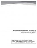 Que tipo de administración se aplica? Juguetería Entre cuates: