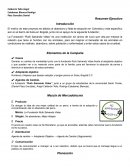 Resumen Ejecutivo Mkt Social