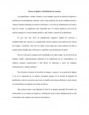 Ensayo Logística y Distribución de Amazon