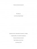 Sistemas de Información Gerencial