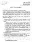 Práctica 7. La reacción química (Parte I) QGI