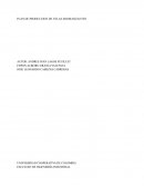 PLAN DE PRODUCCION DE VELAS AROMATIZANTES