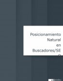 Posicionamiento Natural en Buscadores/SEO