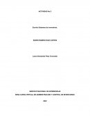 Las ventajas que tienen las organizaciones al establecer estos sistemas