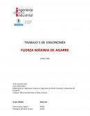 Fuerza maxima de agarre