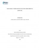 Gestión de sistemas de salud y seguridad en el trabajo