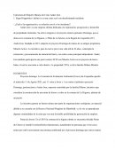 Estructura del Reporte Manejo de Crisis Andes Iron