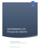 Describiendo los títulos de crédito