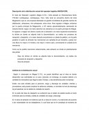 Descripción de la distribución actual del operador logistico MAGSA EIRL