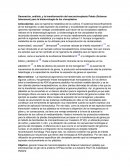 Generación, análisis, y la transformación del macrocloroplasto Patata (Solanum tuberosum) para la biotecnología de los cloroplastos
