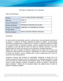 AUDITORIA A UN SISTEMA DE CALIDAD