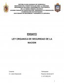 Ensayo sobre la Ley de Seguridad de la Nación 2014