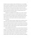 Ejemplo de una marca sostenible