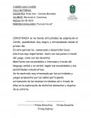 PLANIFICACION PARA MATERNAL