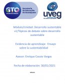 Ensayo sobre la sustentabilidad