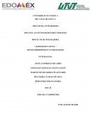 Agrosmart S. de R.L. Sistema hidropónico automatizado