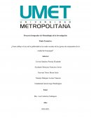 Cómo influye el uso de la publicidad en las redes sociales de las PYMEs de restaurantes de la ciudad de Guayaquil?