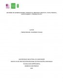 INFORME DE GENERALIDADES, PRODUCTO, MERCADO OBJETIVO, FICHA TÉCNICA, CUESTIONARIO Y PRUEBA PILOTO